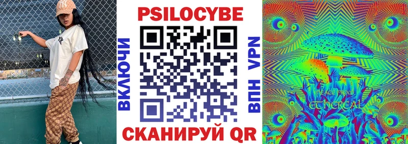 Купить закладки  Карабаш  Галлюциногенные грибы Psilocybine cubensis 